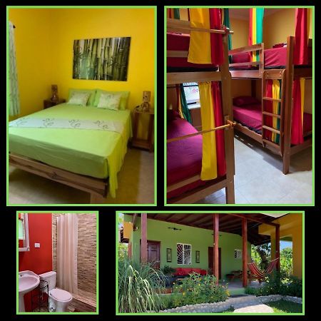 Green Queendom Farm And Lodging Oracabessa Exterior foto