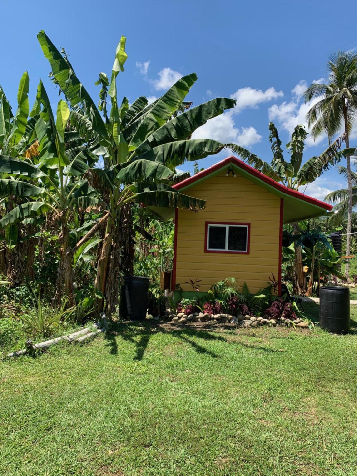 Green Queendom Farm And Lodging Oracabessa Exterior foto